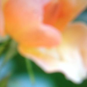 Meet your Posher, Destiny